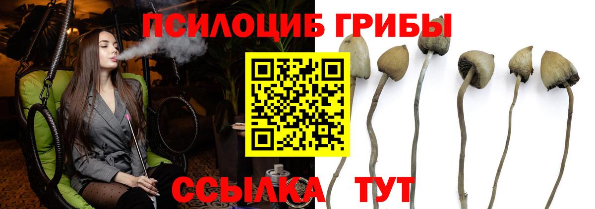 Галлюциногенные грибы мухоморы Озёрск